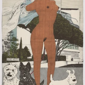 Fernando Bellver "Serie Desnudos: Chocolate lady"
