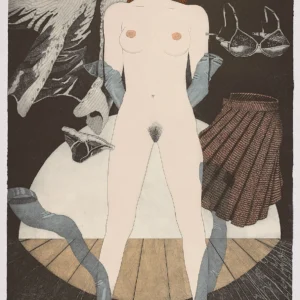 Fernando Bellver "Serie Desnudos: Cubista"
