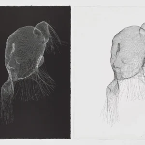 Jaume Plensa "Wilsis en blanco y negro"